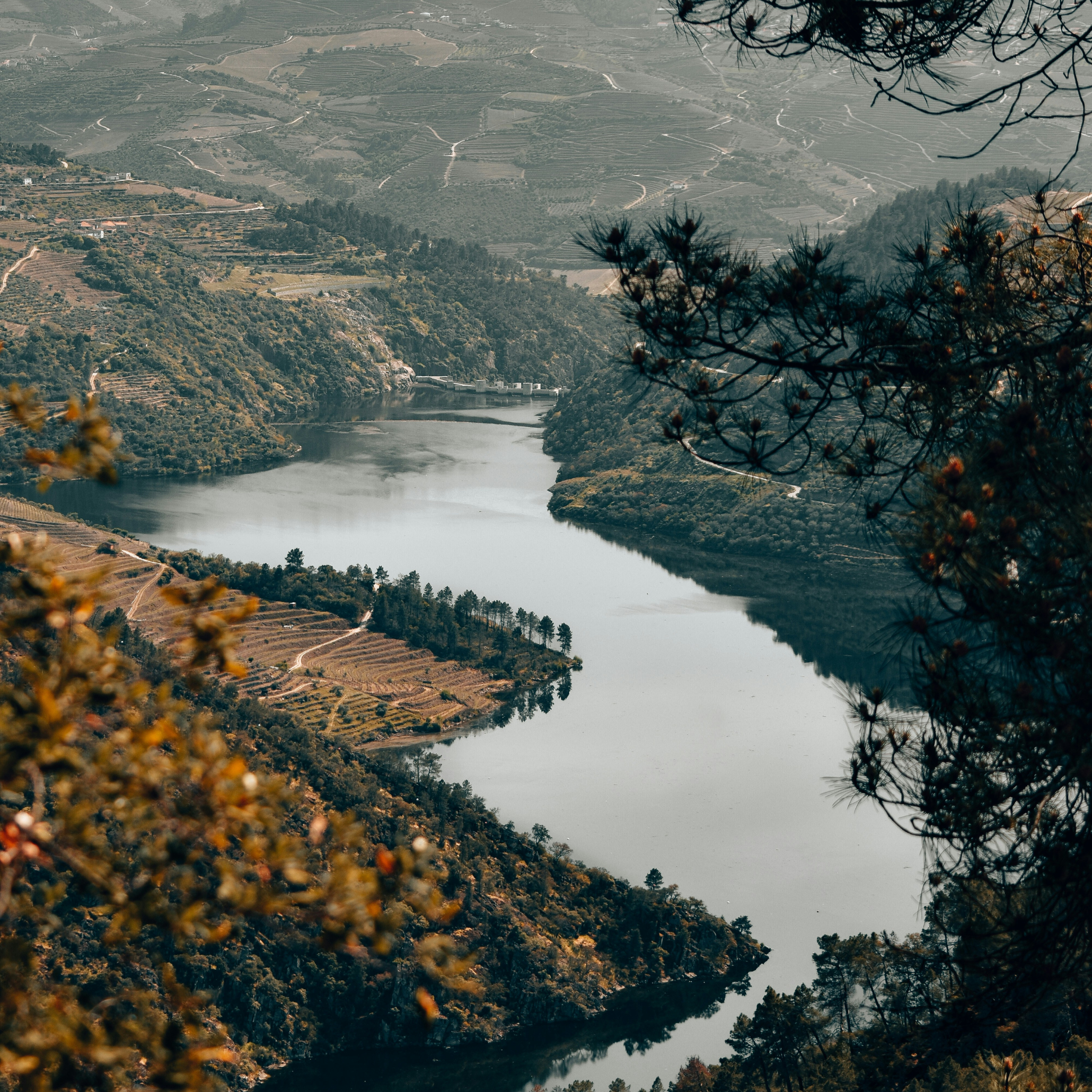 Douro Valley - The Set of Summer Breeze Campaign