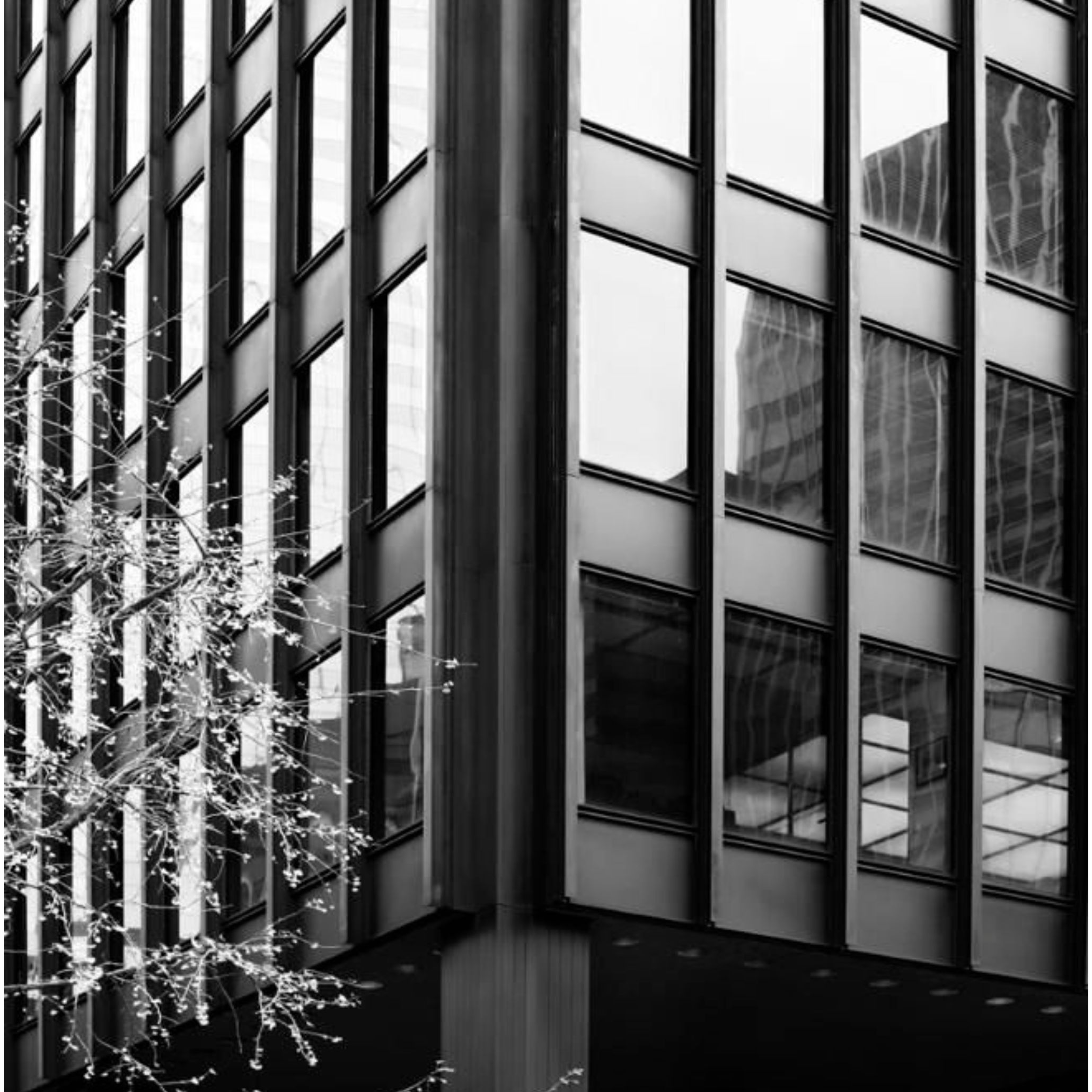 Details and materials of the Seagram Building.