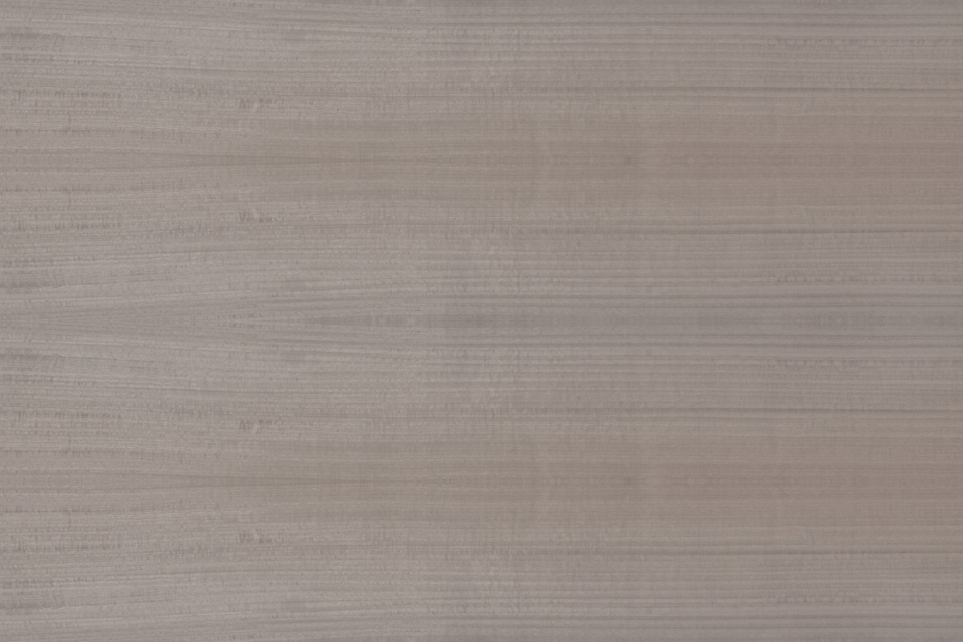 Grey Eucalyptus High Gloss