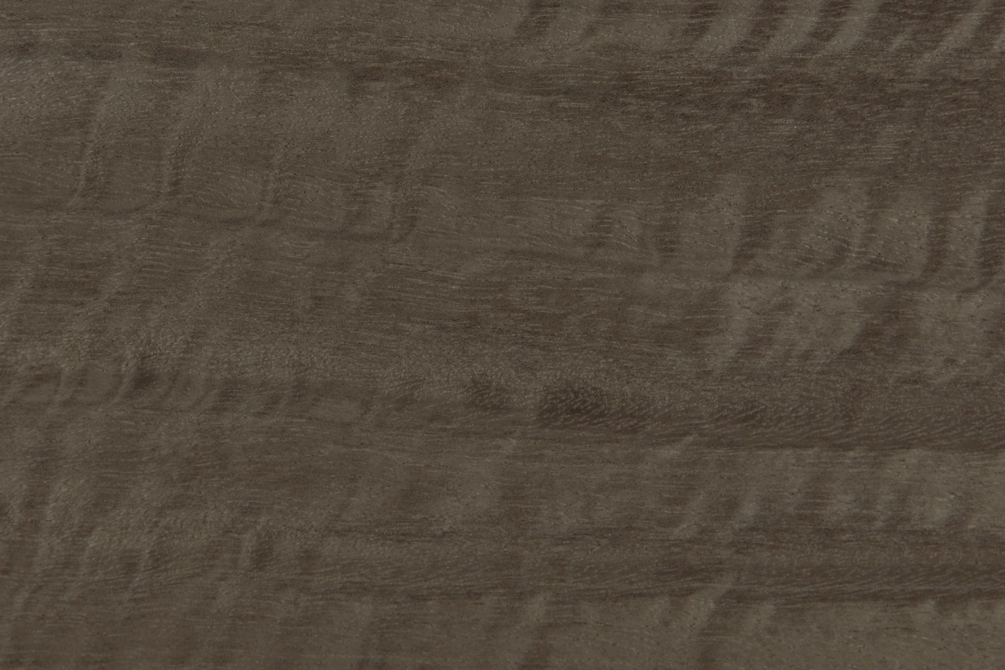 Grey Eucalyptus Mate