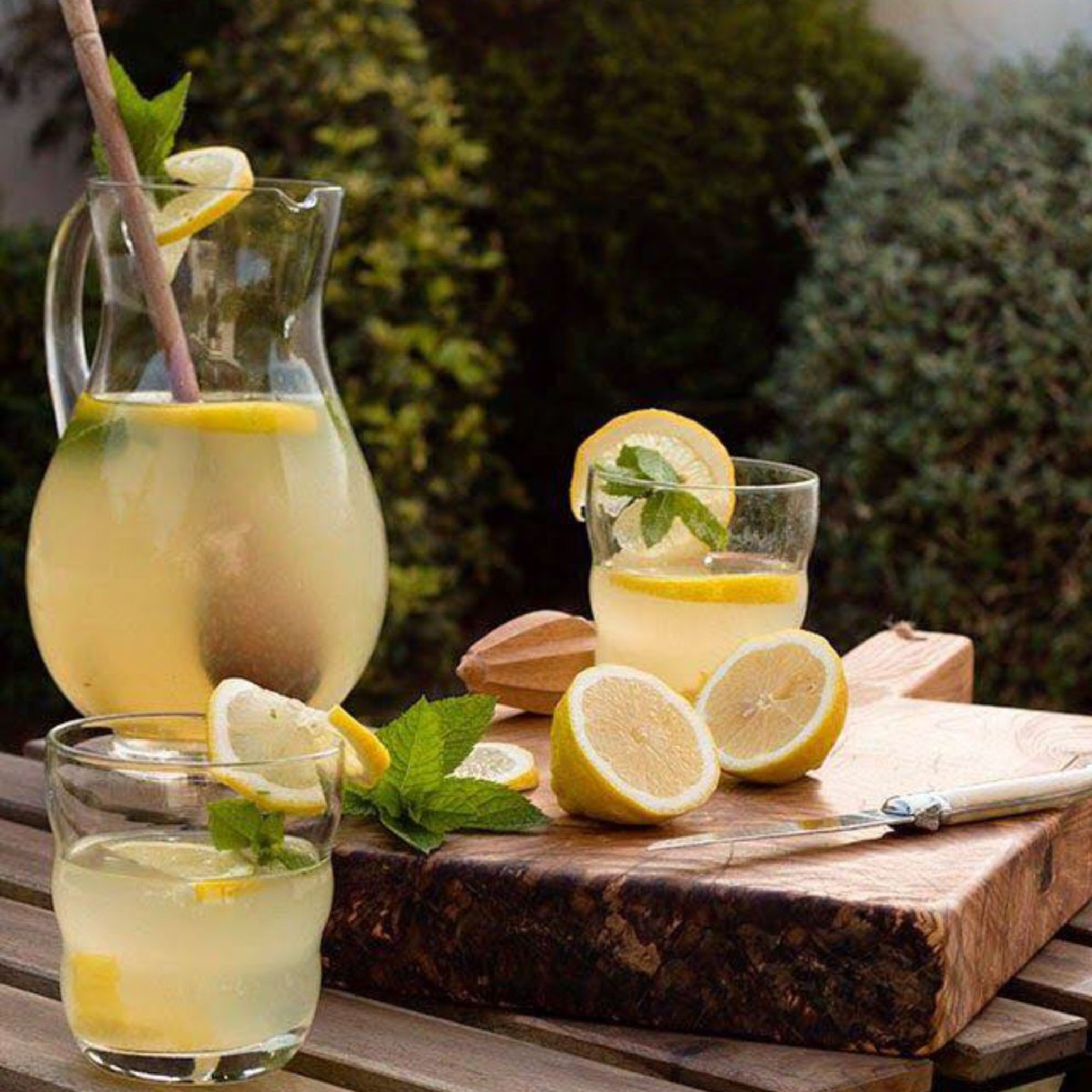 A rustic wooden board holds a clear glass jug and tumblers filled with lemon and mint-infused water. Fresh lemon slices, sprigs of mint, and a wooden citrus reamer complete the scene, a refreshing and sensory addition to subtle outdoor dining table decoration.