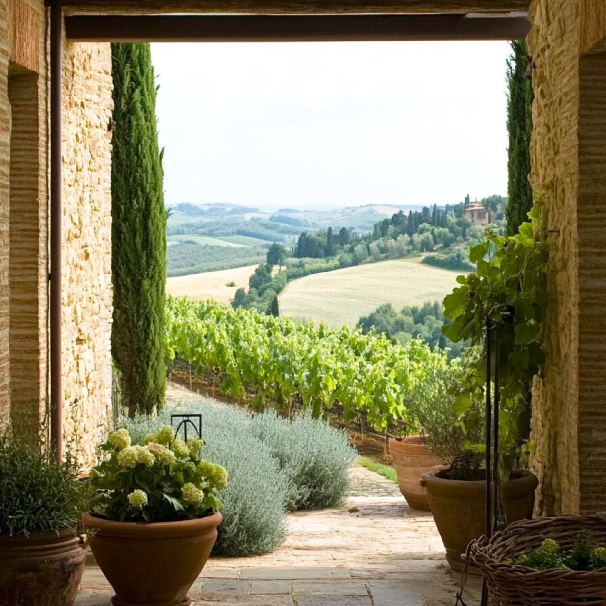 Sweeping view of the Tuscan countryside bathed in golden sunlight, with rolling hills, distant vineyards, and clusters of olive trees under a warm sky. This scenic landscape captures the rustic beauty and natural serenity that form the foundation of Tuscan interior design’s earthy, welcoming aesthetic.