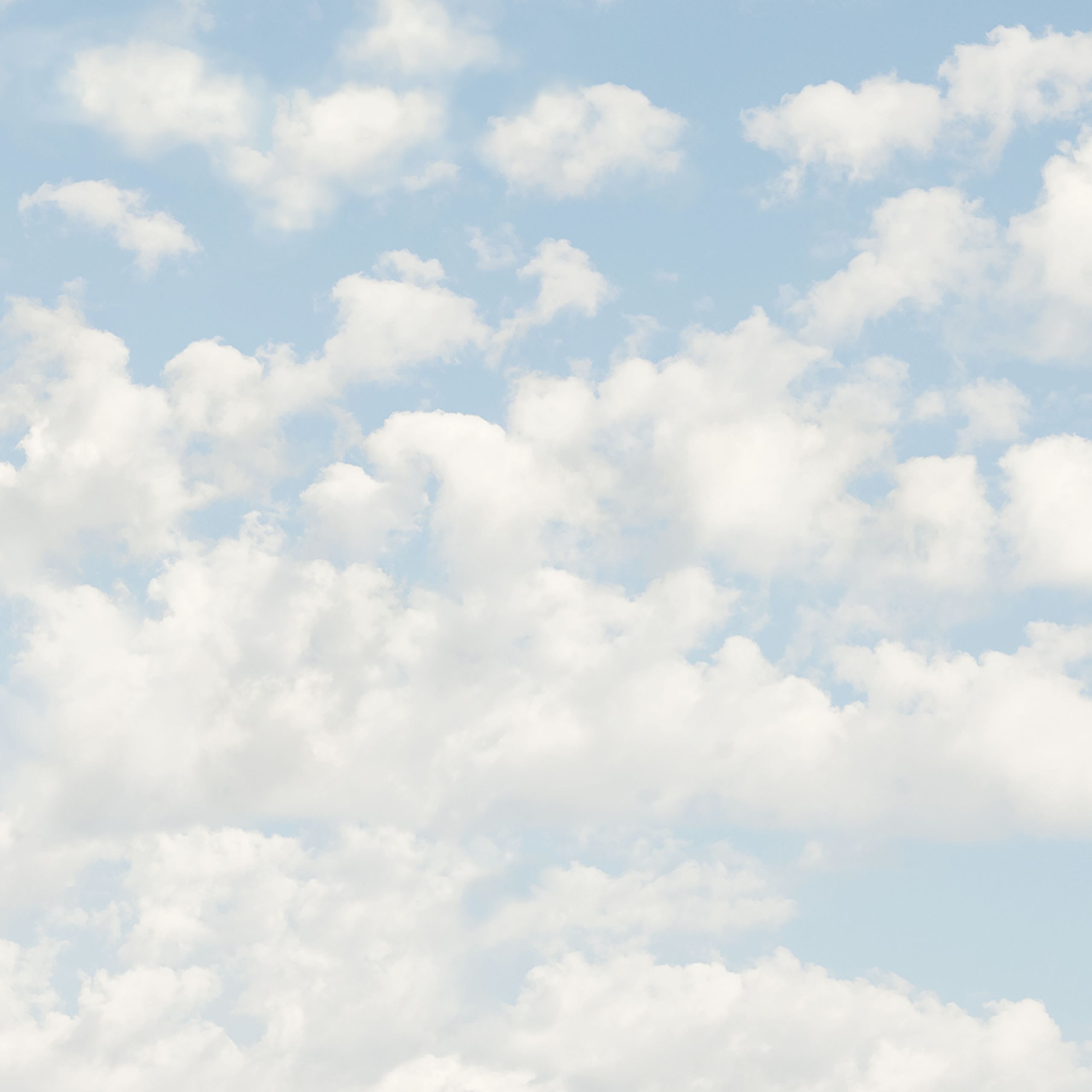 Expansive sky filled with soft, cumulus clouds drifting across a pale blue canvas. The scene evokes openness and serenity. A natural echo of Cloud Dancer’s warm, airy undertones and its invitation to reflect and breathe.