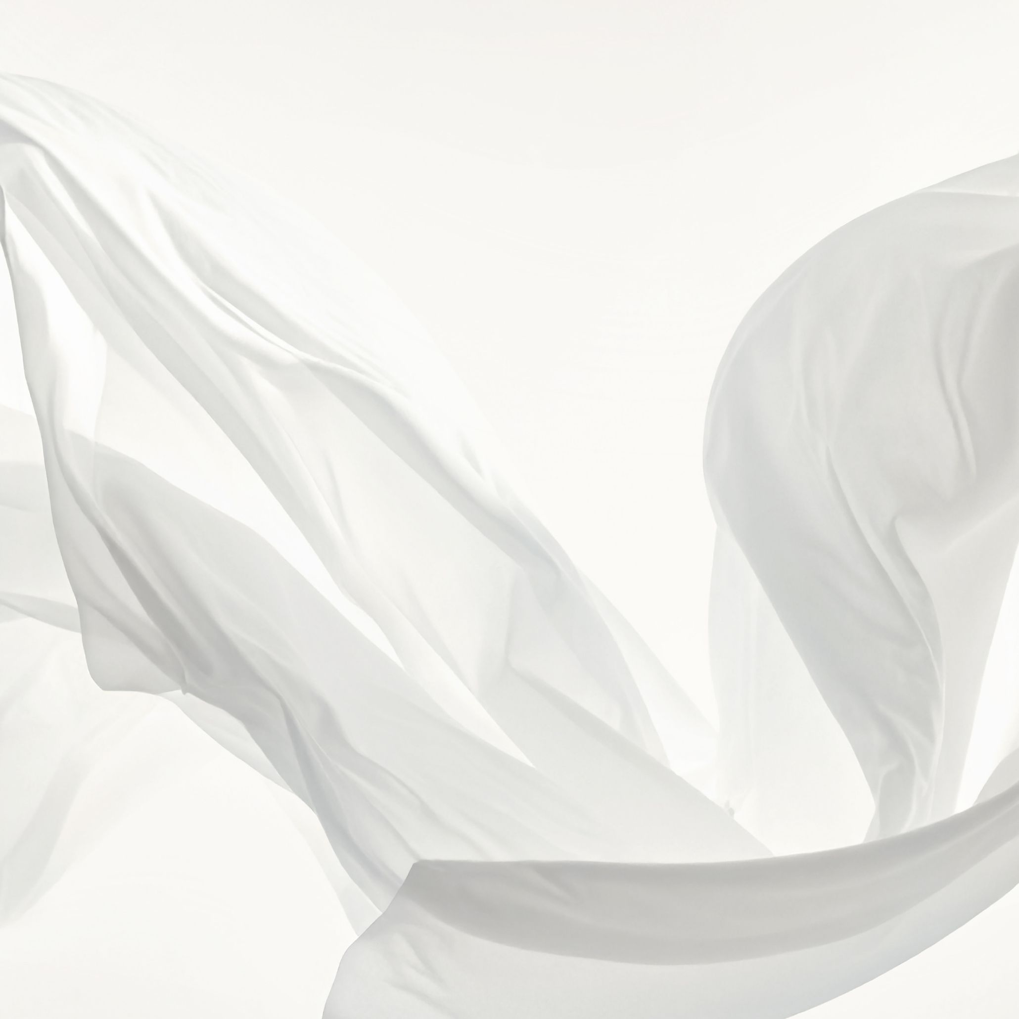 Translucent white fabric floats mid-air, its soft curves and folds suspended in a moment of quiet motion. The image embodies the ethereal quality of Cloud Dancer, Pantone’s Colour of the Year 2026, an invitation to pause, reflect, and embrace the clarity that comes with simplicity.