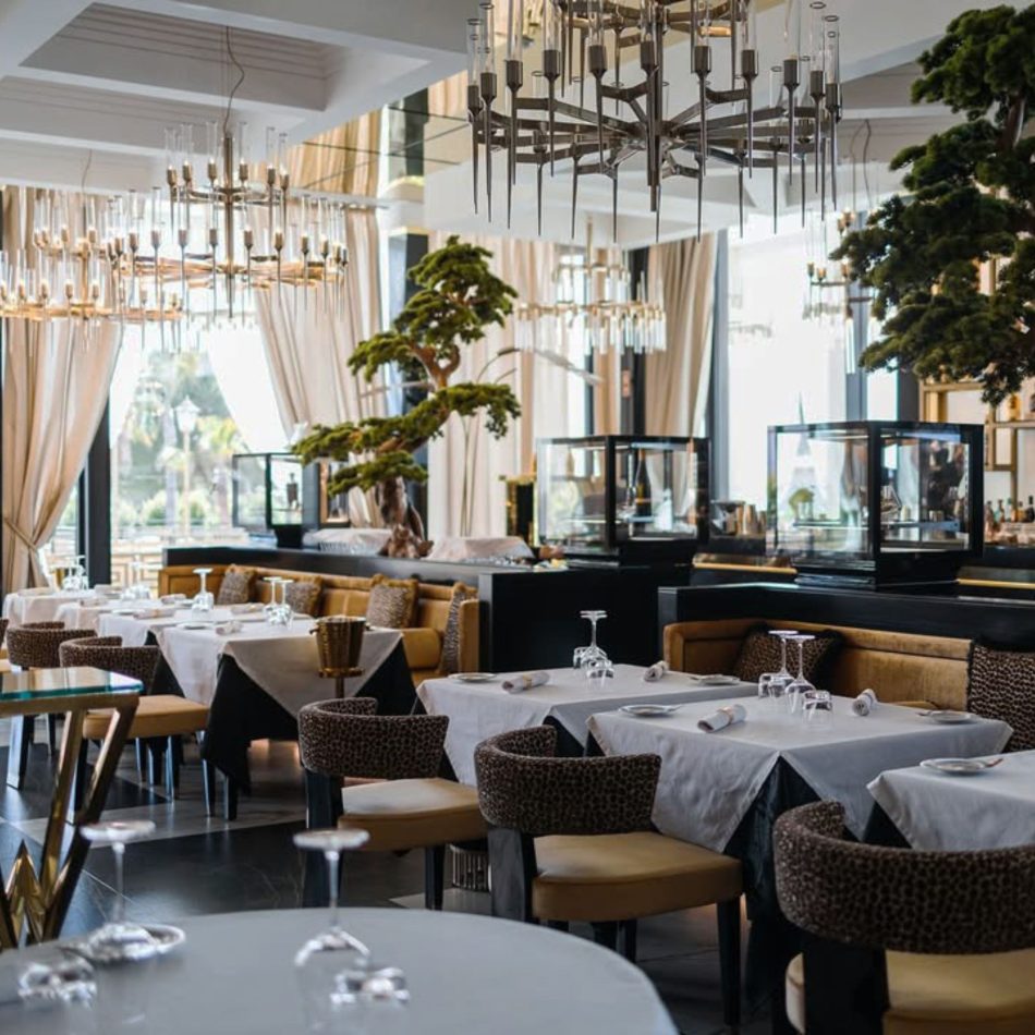 A warm, elegant dining room where patterned chairs and white‑draped tables sit beneath sculptural chandeliers, surrounded by bonsai‑style greenery and soft natural light. The space blends restaurant furniture, refined design details, subtle gold-metal accents, curated hospitality furniture, and the inviting rhythm of luxury furniture throughout the room.
