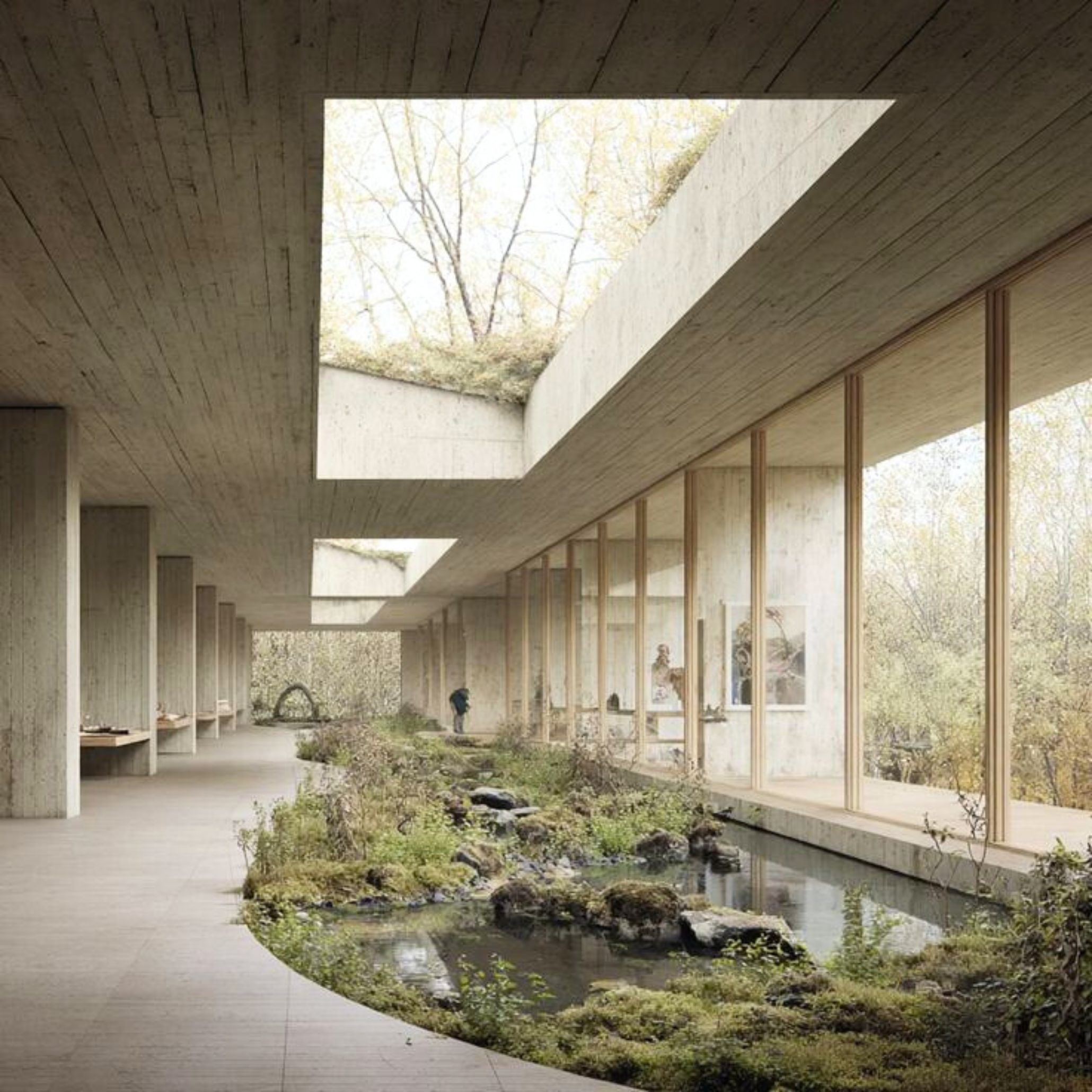 A minimalist architectural corridor curving around an indoor landscape of rocks, moss, and flowing water, illuminated by large skylights and forest views. The space blends built and natural environments through thoughtful biophilic design, sculptural architectural elements, and the soothing influence of nature integration that enhances wellness and reflection.