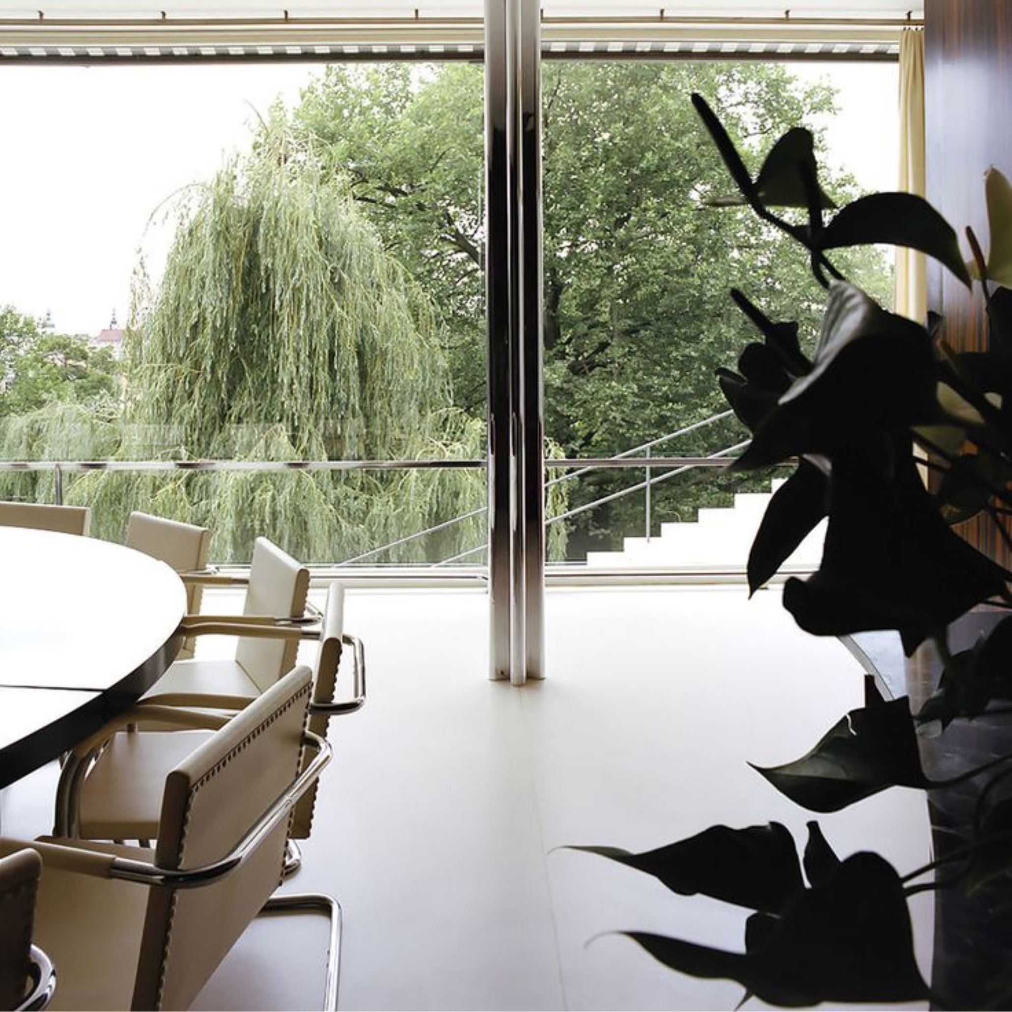 The interior of Villa Tugendhat opens onto a lush garden through a full glass façade, with a sculptural round table and white leather chairs arranged in a fluid, open-plan layout. The space reflects Mies van der Rohe’s vision of transparency and freedom through living room architecture, refined design details, and serene interior design inspiration.