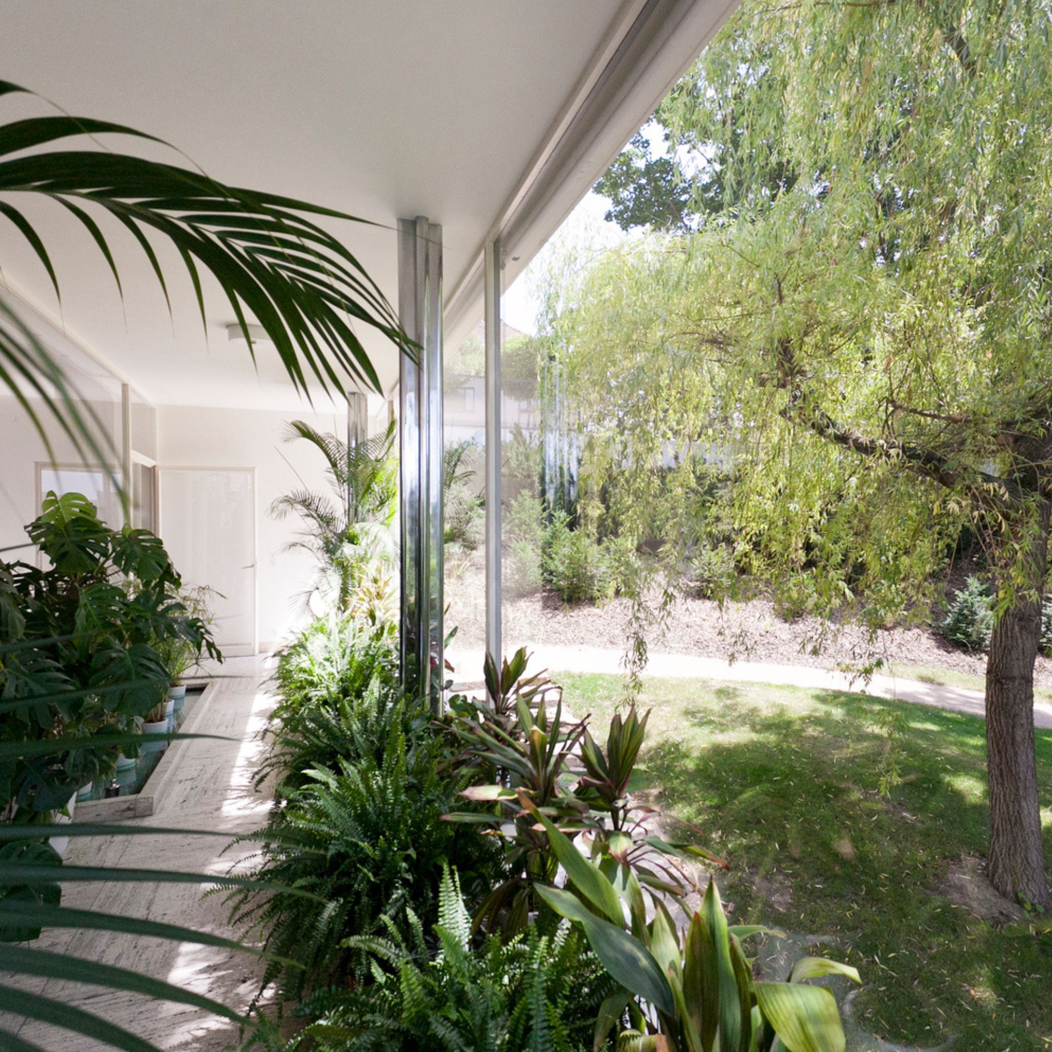 A serene interior view of Villa Tugendhat reveals a continuous glass wall opening onto a lush garden, with indoor plants extending the landscape into the living space. The seamless transition between inside and outside reflects Mies van der Rohe’s vision of openness through living room architecture, refined design details, and modern interior design inspiration.