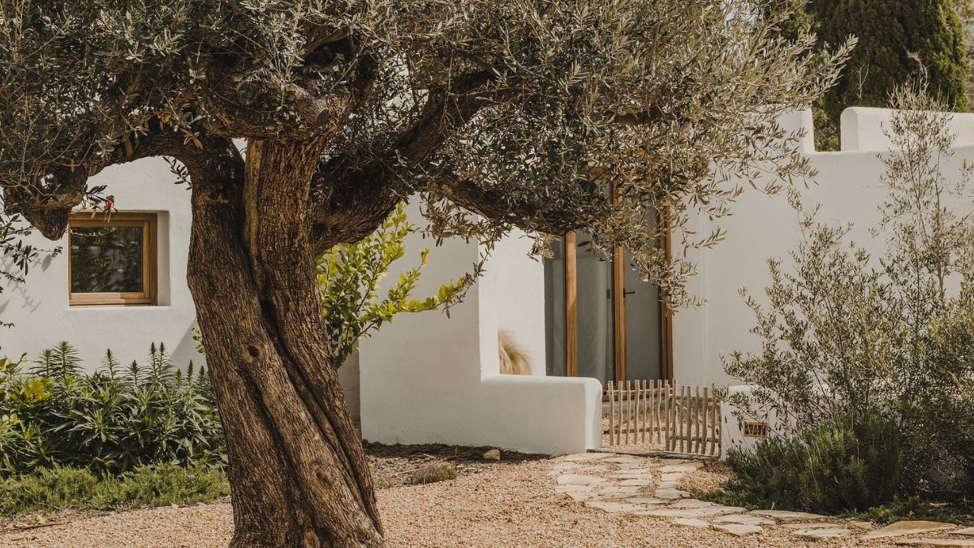 A whitewashed Alentejo house framed by a mature olive tree, native shrubs and a gravel garden with a stone stepping path leading to a solid wood framed doorway. A built-in rendered bench and small wooden fence add quiet domestic detail, reflecting the minimalist design and slow living philosophy that defines Comporta house decoration. This house goals setting captures the interior design inspiration of the Alentejo, where garden and architecture exist as a single, unhurried whole.