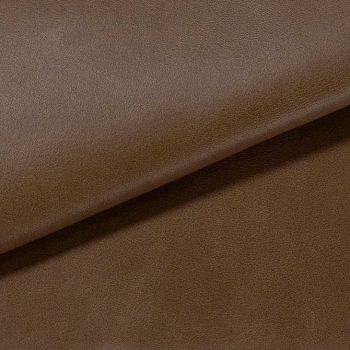 Dali Taupe