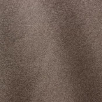 Prescot Grey