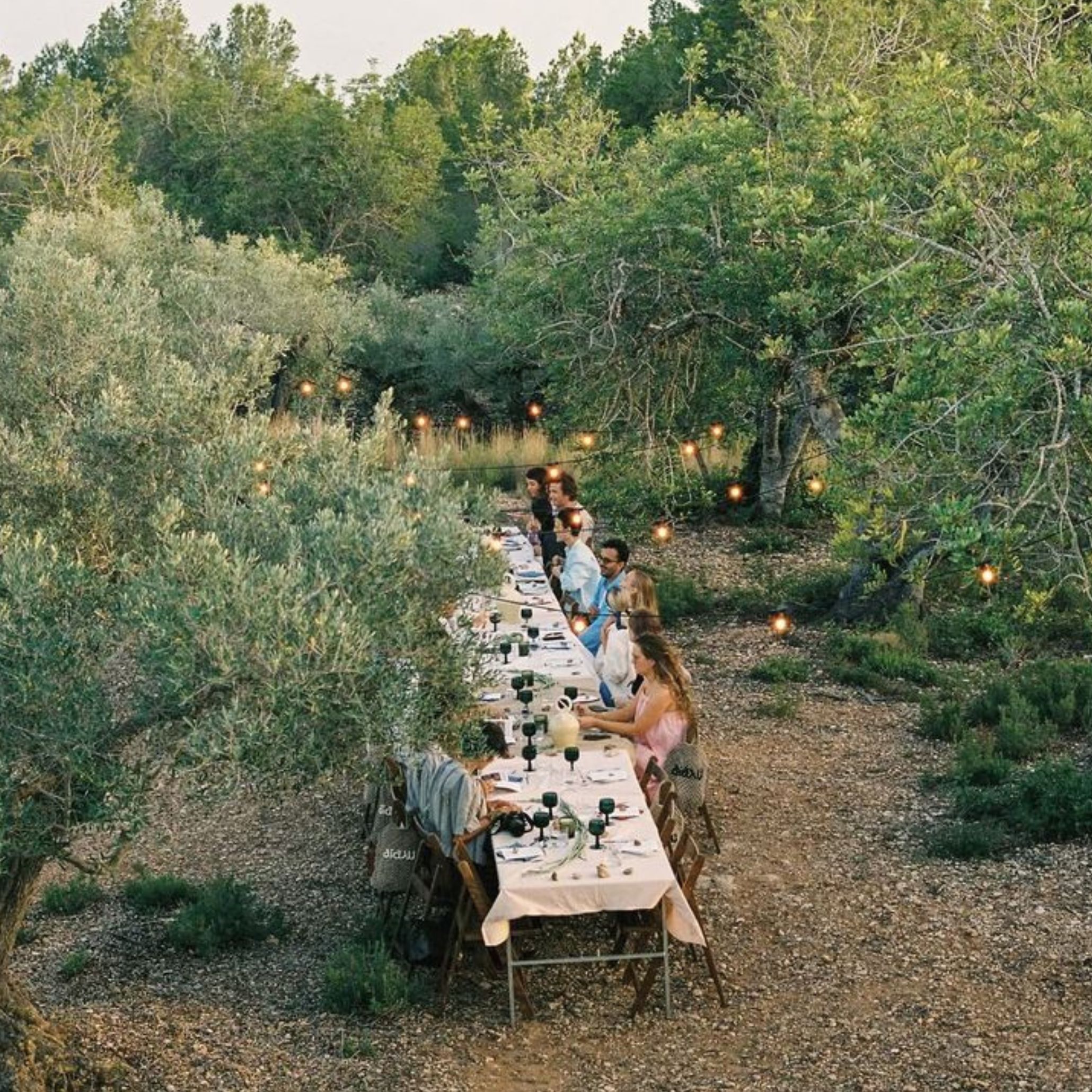 An overhead view of a long dinner table set among olive trees and strung with string lights, guests gathered for a summer soirée, illustrating an alfresco dining area carved naturally into the Mediterranean landscape.