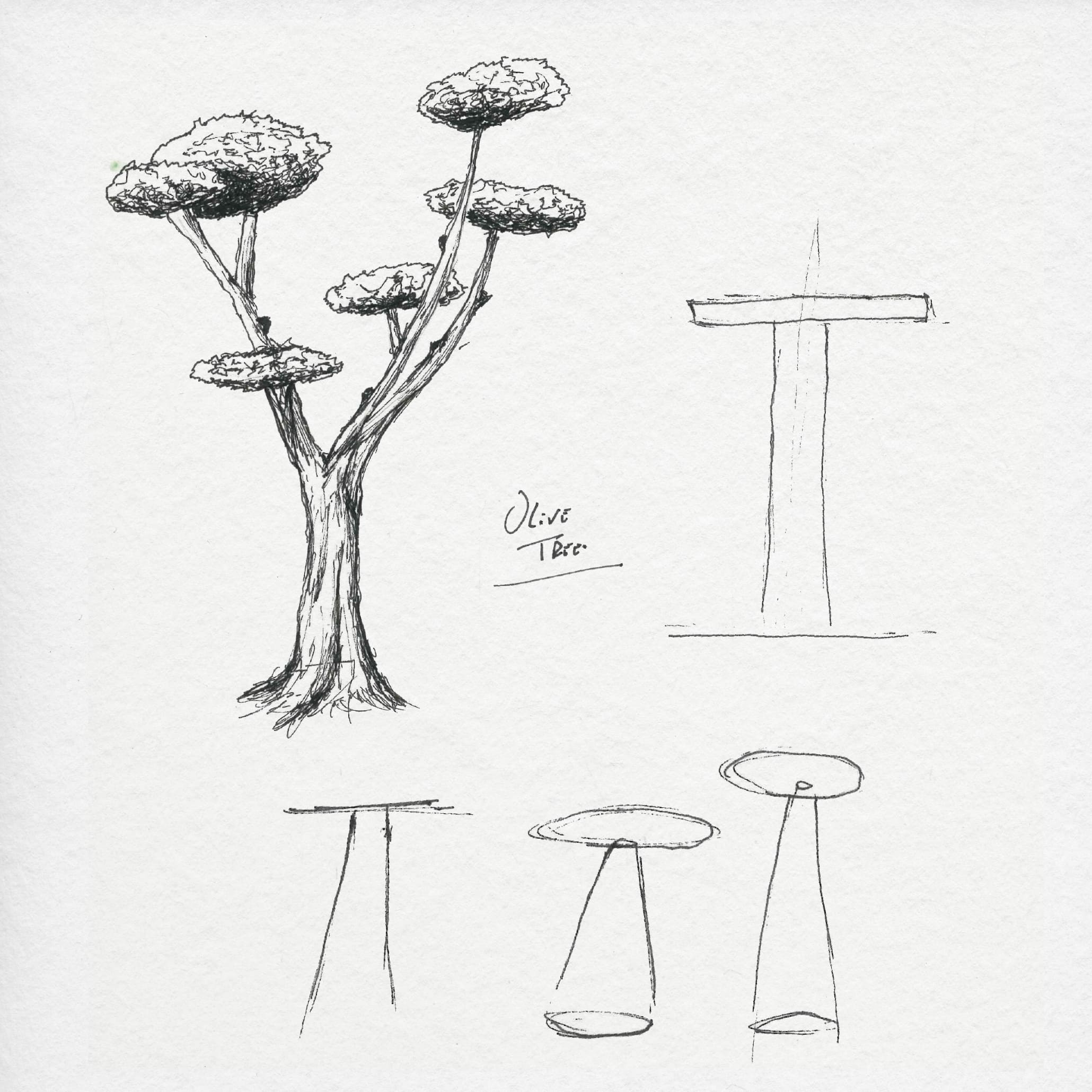 Pen sketch of an olive tree alongside structural silhouettes, translating natural forms into minimalist design concepts for side tables and custom furniture.